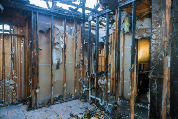 Professional Fire Damage Repair technician working in Gunnison, CO